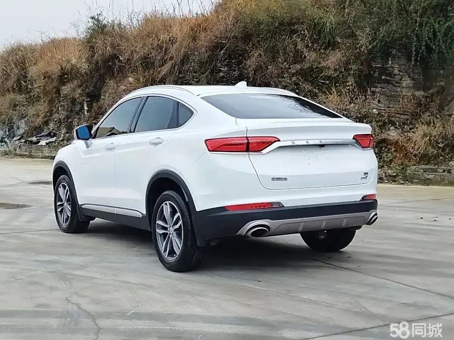 GEELY Tugella 2019 car image #17