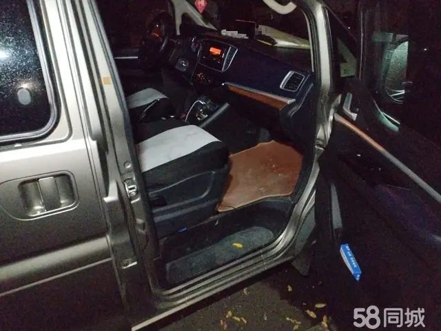 Forthing Lingzhi EV 2023 car image #17