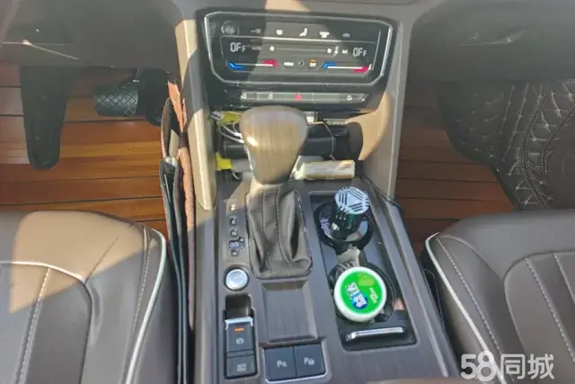 Volkswagen Viloran 2021 car image #17