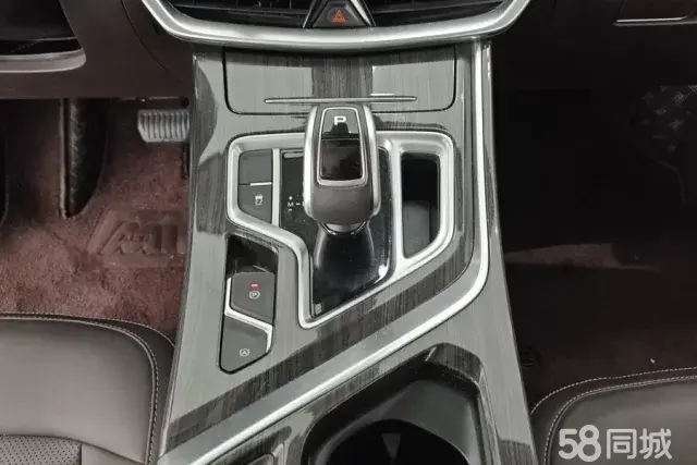 GEELY JiaJi 2020 car image #17