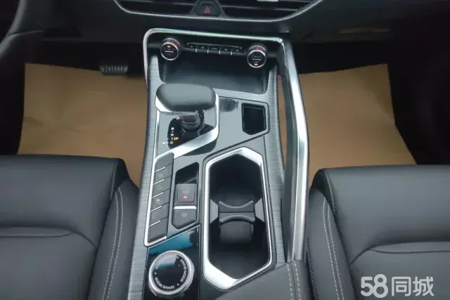 GEELY Tugella 2020 car image #17