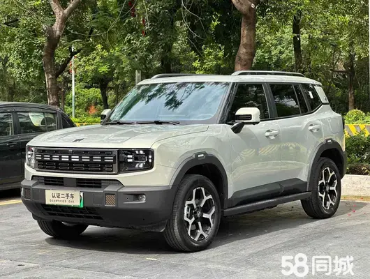 Jetour Shanhai 2024 car image #17