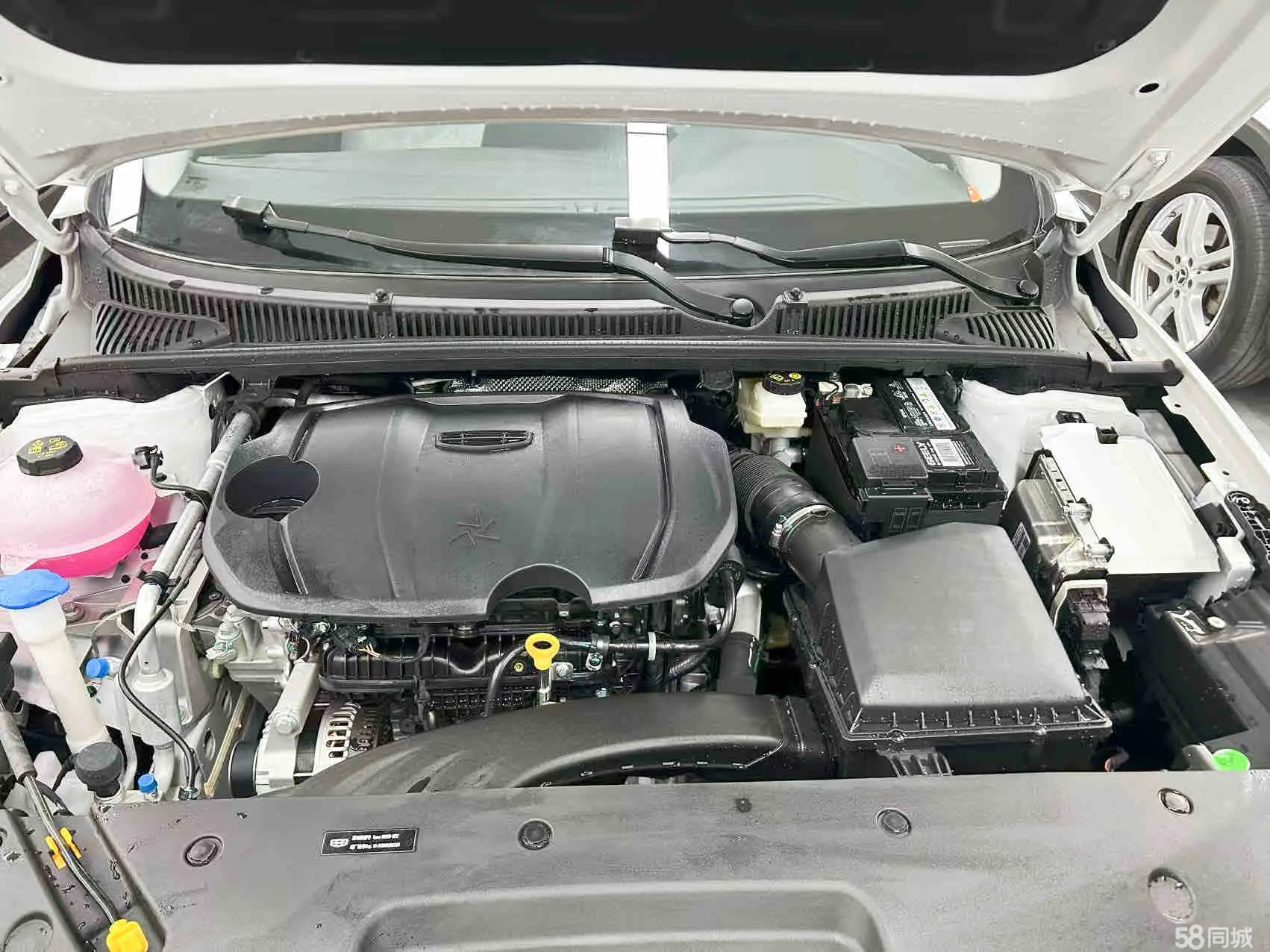 Binray 2025 #17 Binray 2025 car image #17