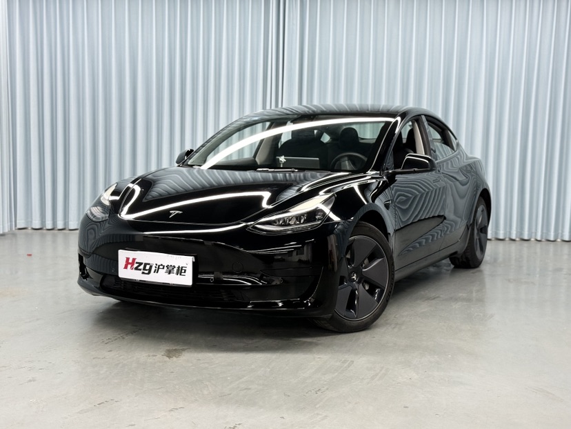 Tesla Model 3 2022 car image 