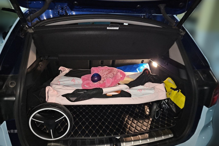 BMW X1 2019 car image #21
