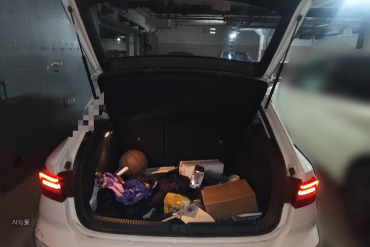 Volkswagen Lavida 2019 car image #21