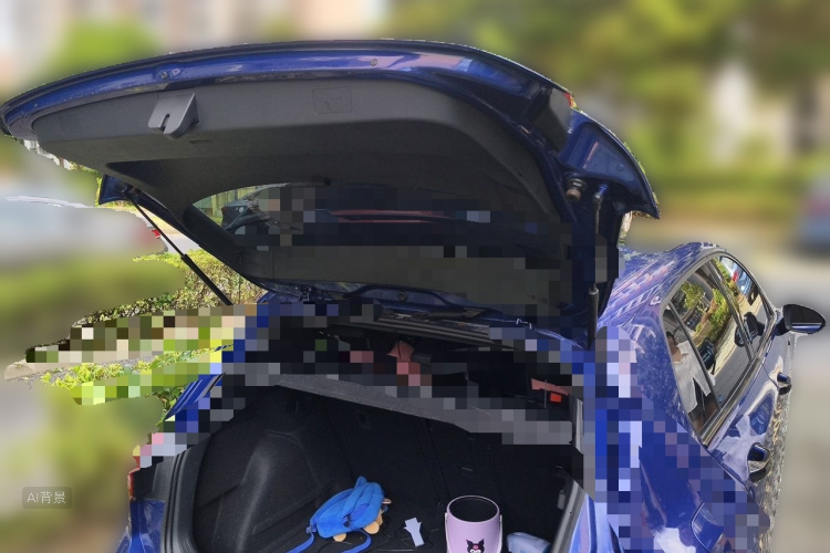 Volkswagen Golf 2021 car image #21