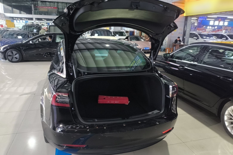 Tesla Model 3 2022 #19 Tesla Model 3 2022 car image #19