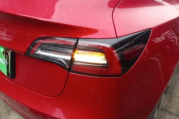 Tesla Model 3 2021 #8 Tesla Model 3 2021 car image #8