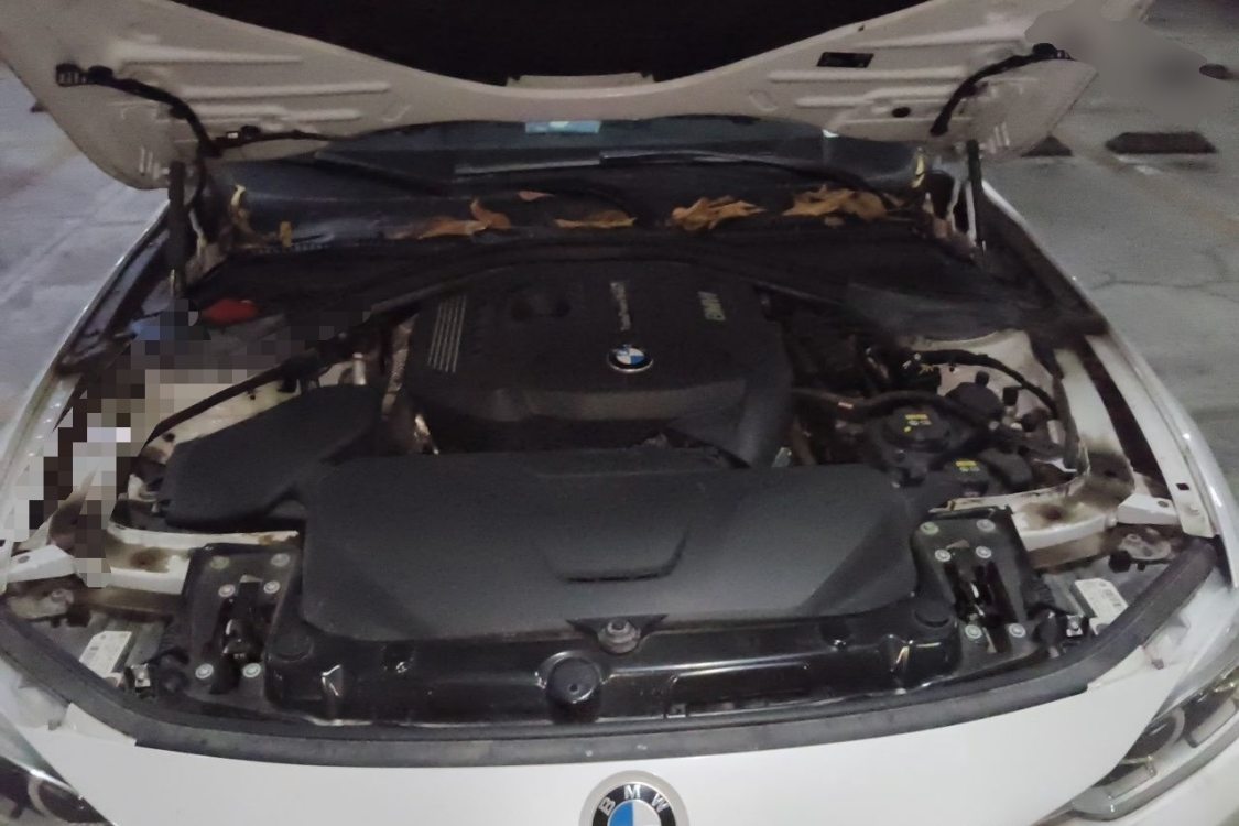 BMW 3 Series 2018 #10 BMW 3 Series 2018 immagine di auto #10