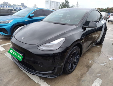 Tesla Model Y 2022 Tesla Model Y 2022 car image