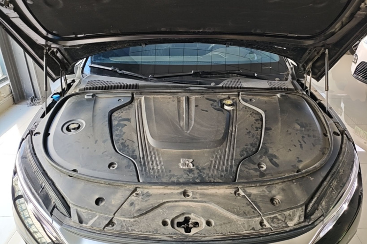 BYD Han 2024 car image #20