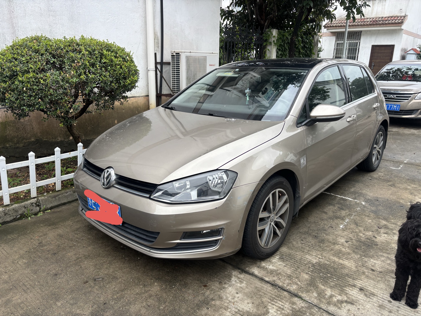 2016 2016 imagen de coche