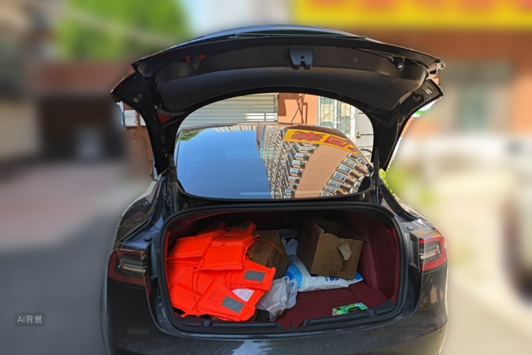Tesla Model 3 2023 car image #21
