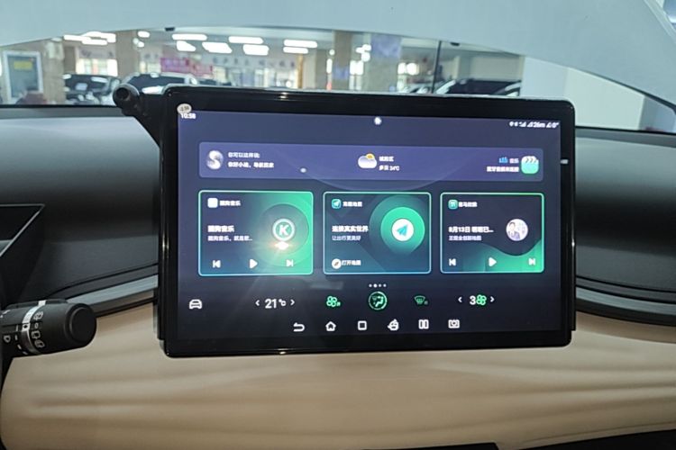BYD Yuan Plus 2023 car image #13