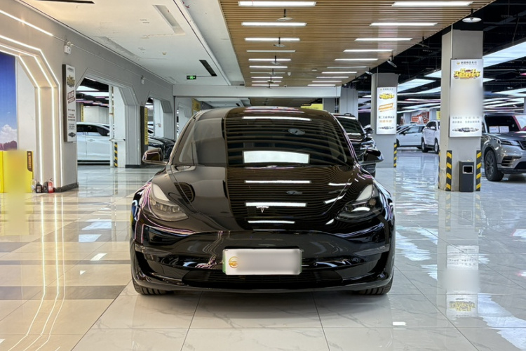 Tesla Model 3 2022 #9 Tesla Model 3 2022 car image #9