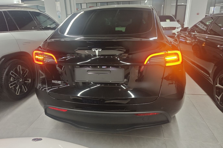 Tesla Model Y 2024 immagine di auto #6