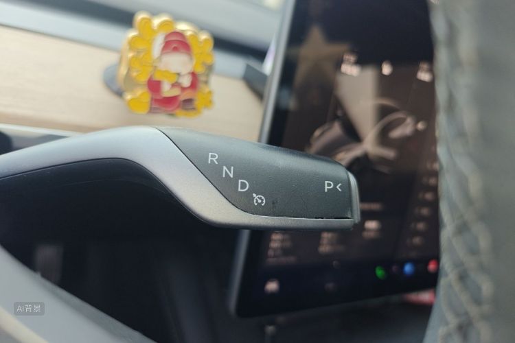 Tesla Model 3 2023 car image #16