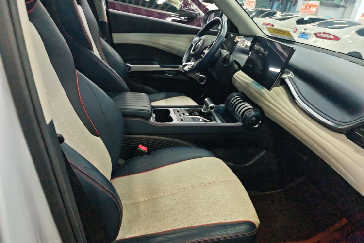 BYD Yuan Plus 2022 car image #18