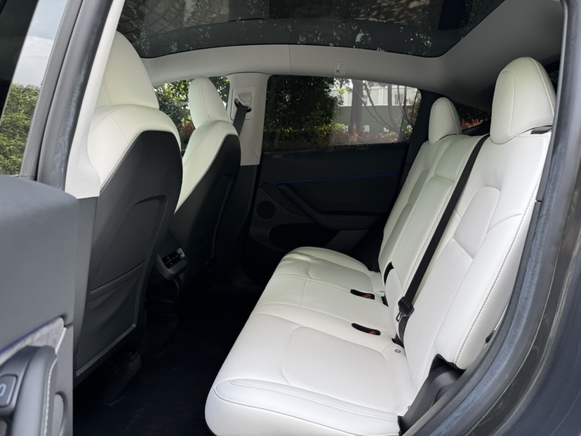Tesla Model Y 2023 car image #9
