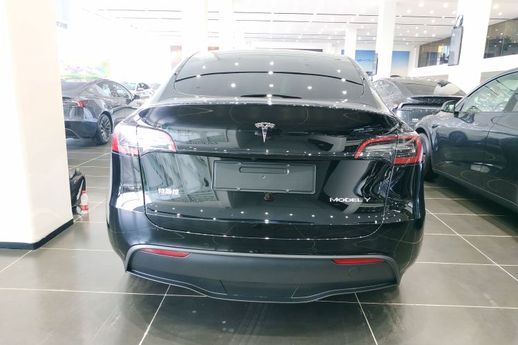 Tesla Model Y 2023 #6 Tesla Model Y 2023 car image #6