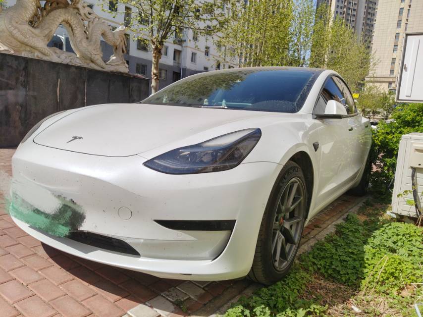 Tesla Model 3 2021 car image 