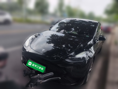 Tesla Model Y 2022 car image 