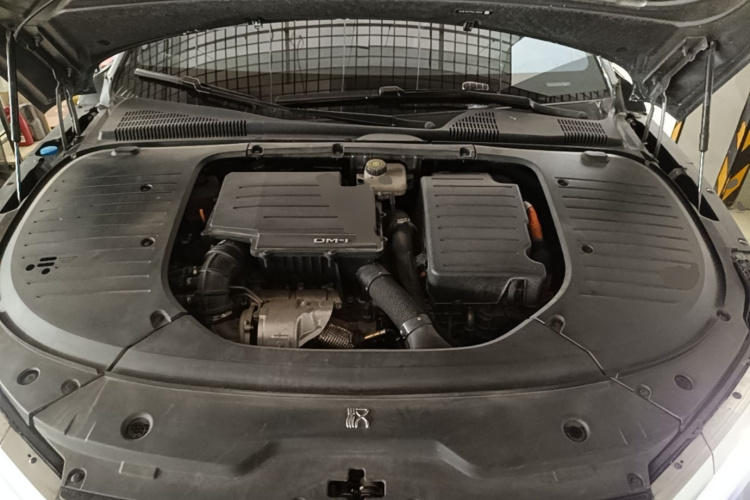 BYD Han 2022 car image #20