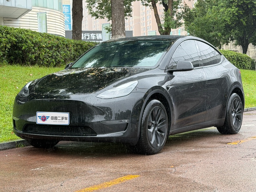 Tesla Model Y 2024 car image 