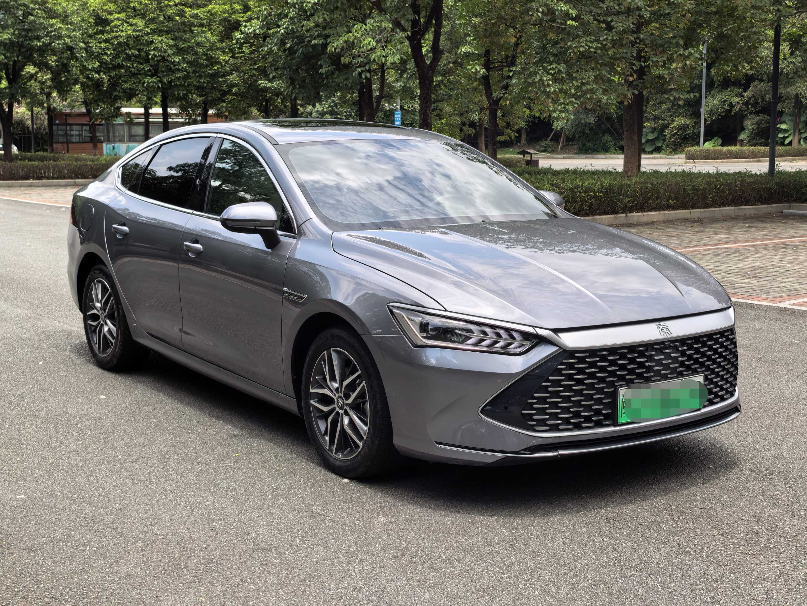 BYD Qin Plus 2024 imagen de coche #2