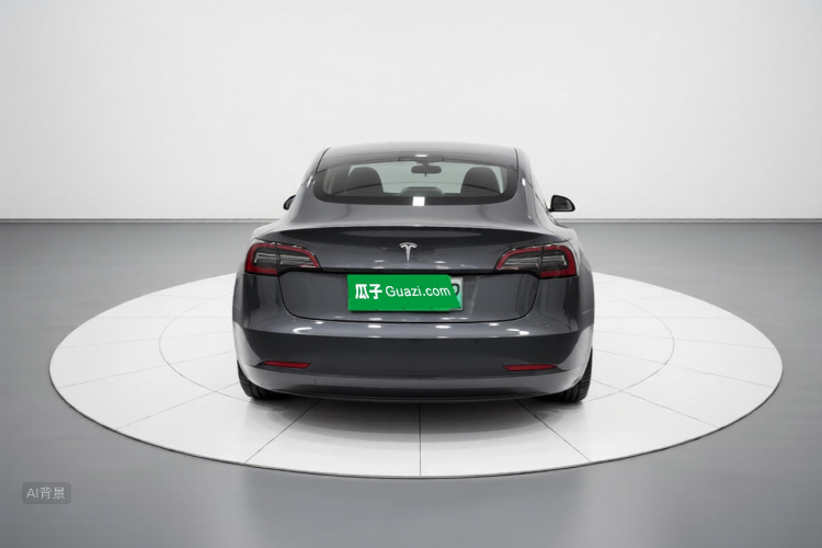 Tesla Model 3 2021 #6 Tesla Model 3 2021 car image #6