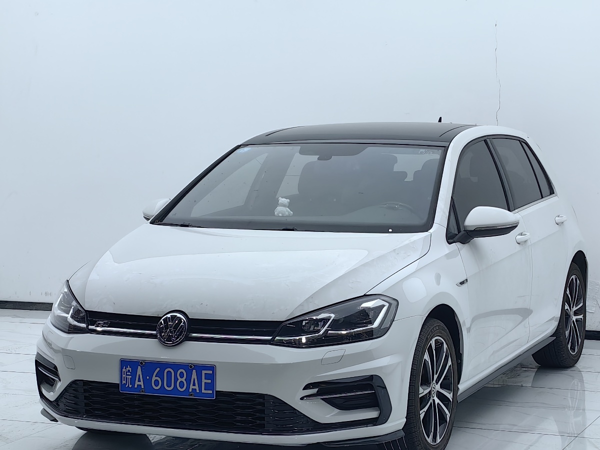 Volkswagen Golf 2019 Volkswagen Golf 2019 car image