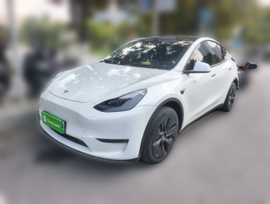 Tesla Model Y 2023 Tesla Model Y 2023 car image
