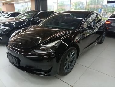 Tesla Model 3 2021 Tesla Model 3 2021 car image