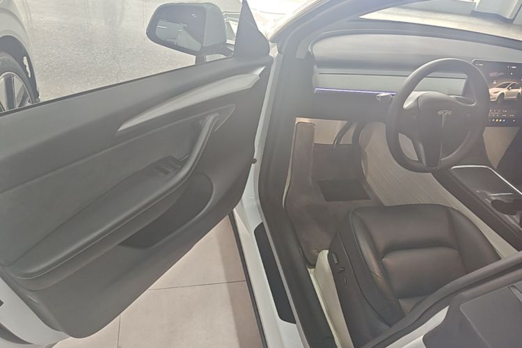 Tesla Model Y 2024 car image #16