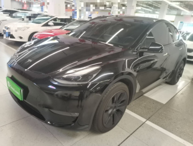 Tesla Model Y 2024 Tesla Model Y 2024 car image