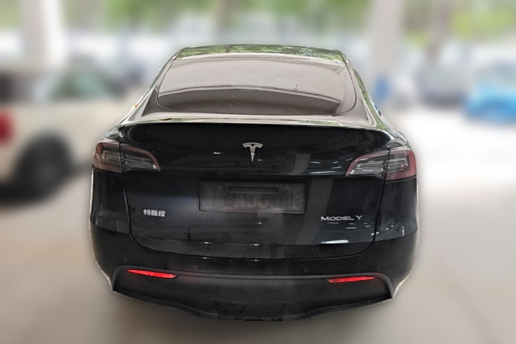Tesla Model Y 2021 car image #6