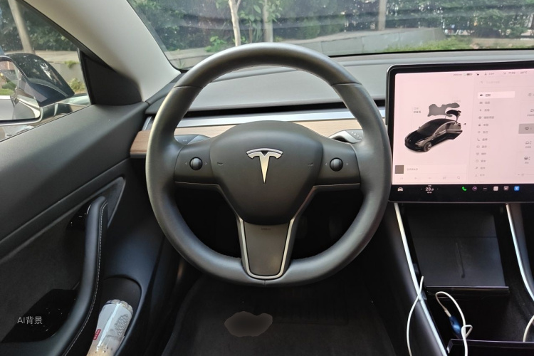 Tesla Model 3 2020 #12 Tesla Model 3 2020 car image #12