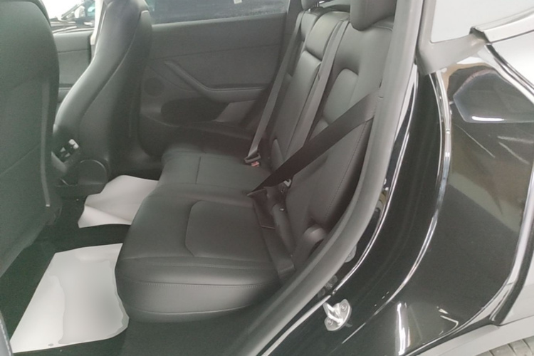 Tesla Model Y 2023 car image #13