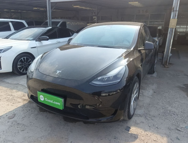 Tesla Model Y 2022 Tesla Model Y 2022 car image