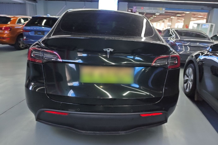 Tesla Model Y 2021 car image #6