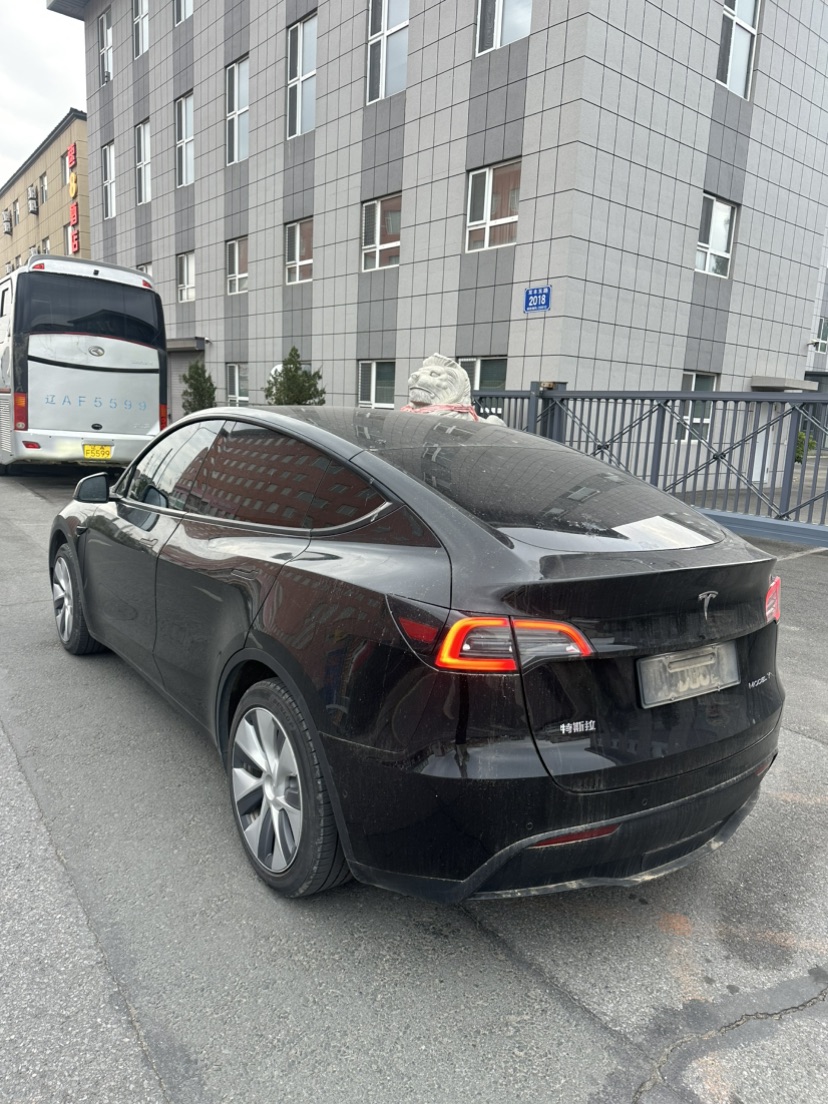 Tesla Model Y 2023 car image #3