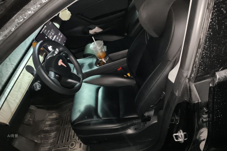 Tesla Model 3 2020 car image #17