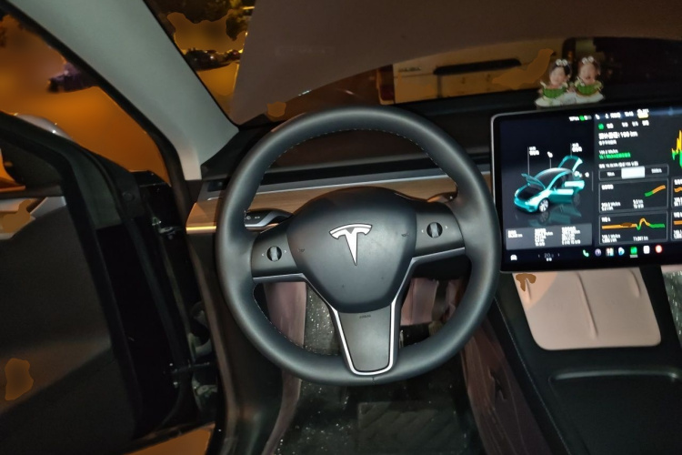 Tesla Model Y 2023 #15 Tesla Model Y 2023 car image #15