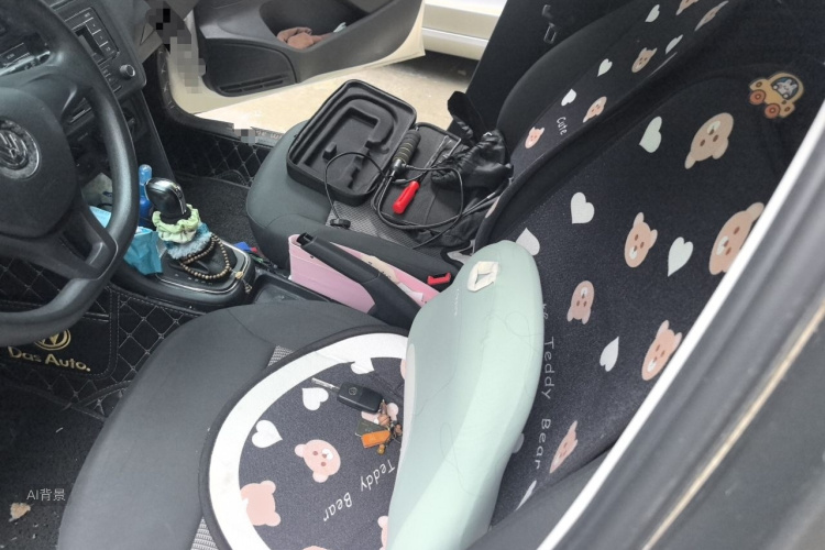 Volkswagen Polo 2018 car image #17