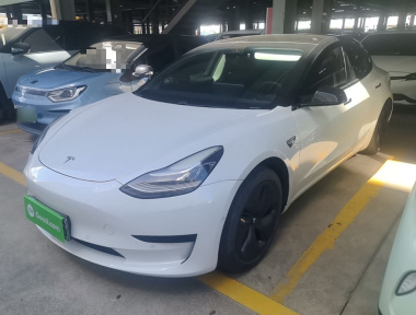 Tesla Model 3 2020 Tesla Model 3 2020 car image