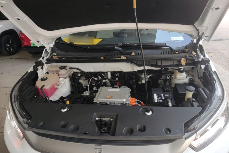 BYD Yuan Pro 2021 car image #20
