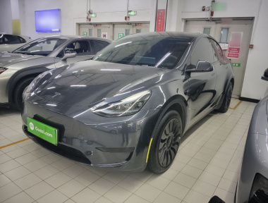 Tesla Model Y 2024 Tesla Model Y 2024 car image