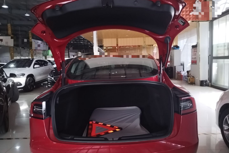 Tesla Model 3 2022 car image #19