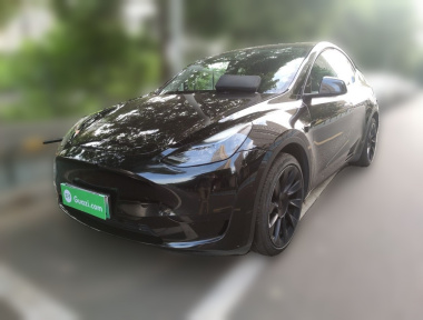 Tesla Model Y 2022 Tesla Model Y 2022 car image